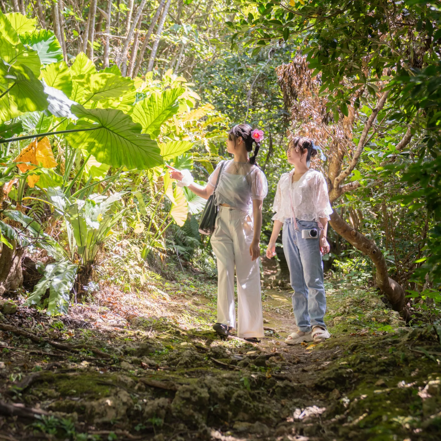 宮古島市熱帯植物園