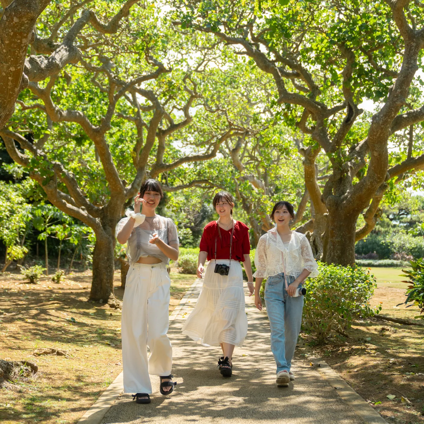 宮古島市熱帯植物園